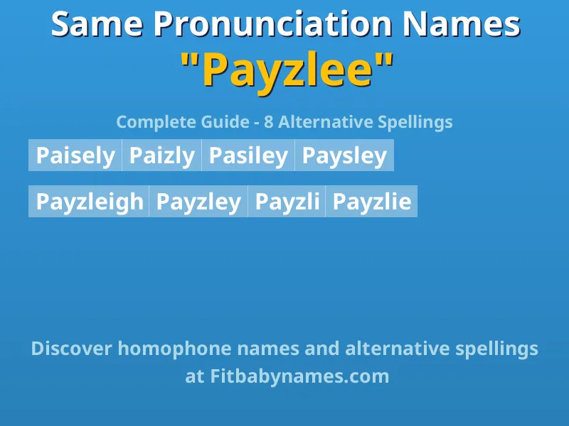 Infographic: Payzlee same pronunciation names, similar names, and homophone names