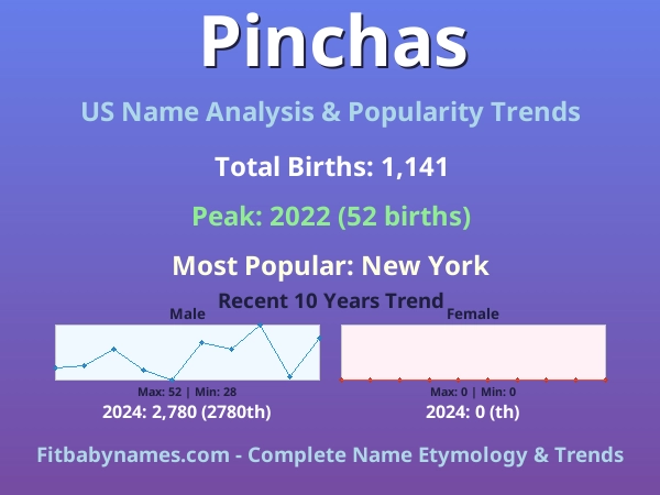 Infographic: Pinchas name meaning, origin, and popularity trends in the United States (US baby name analysis chart)