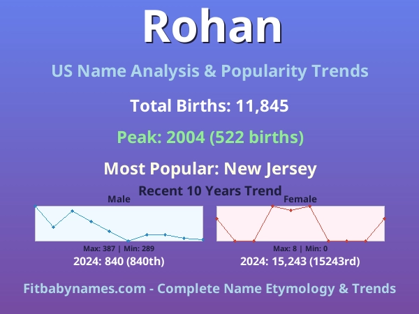 Infographic: Rohan name meaning, origin, and popularity trends in the United States (US baby name analysis chart)