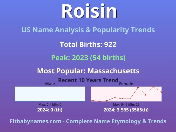 Infographic: Roisin name meaning, origin, and popularity trends in the United States (US baby name analysis chart)