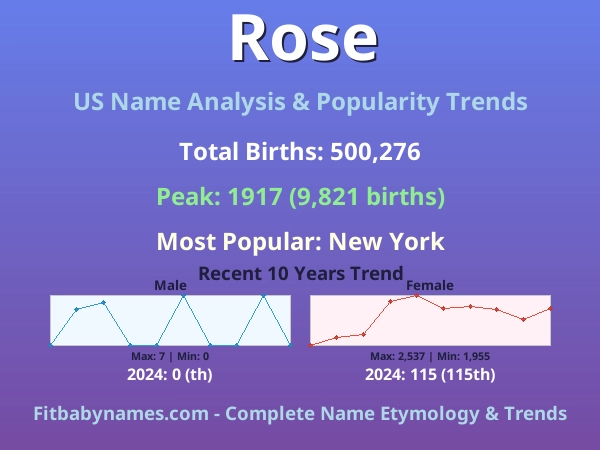 Infographic: Rose name meaning, origin, and popularity trends in the United States (US baby name analysis chart)