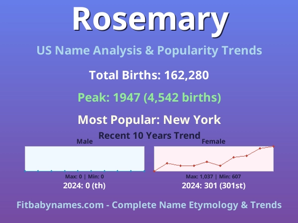Infographic: Rosemary name meaning, origin, and popularity trends in the United States (US baby name analysis chart)