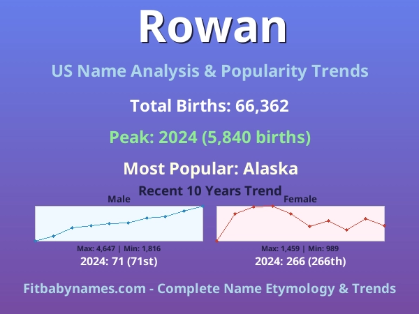 Infographic: Rowan name meaning, origin, and popularity trends in the United States (US baby name analysis chart)
