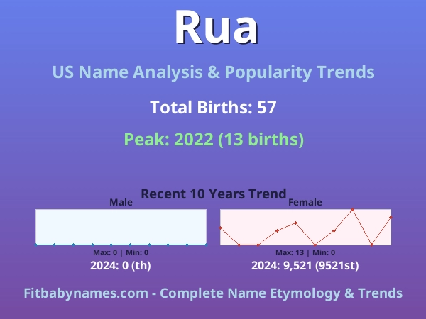 Infographic: Rua name meaning, origin, and popularity trends in the United States (US baby name analysis chart)