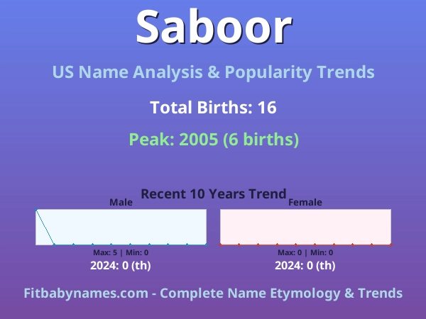 Infographic: Saboor name meaning, origin, and popularity trends in the United States (US baby name analysis chart)