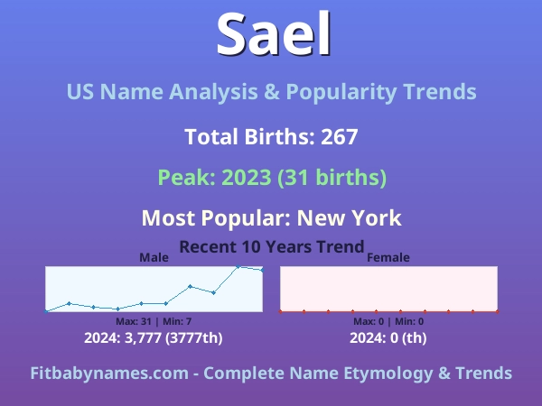 Infographic: Sael name meaning, origin, and popularity trends in the United States (US baby name analysis chart)