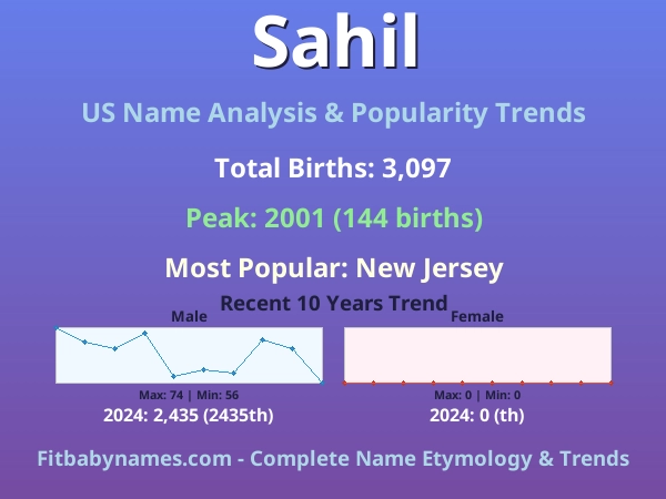 Infographic: Sahil name meaning, origin, and popularity trends in the United States (US baby name analysis chart)