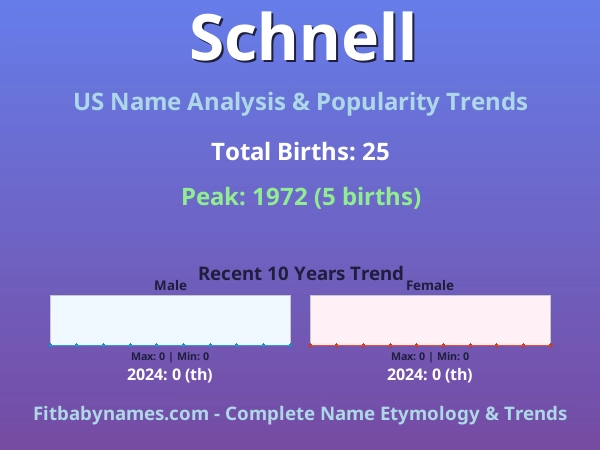 Infographic: Schnell name meaning, origin, and popularity trends in the United States (US baby name analysis chart)