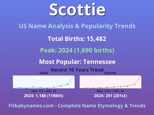 Infographic: Scottie name meaning, origin, and popularity trends in the United States (US baby name analysis chart)