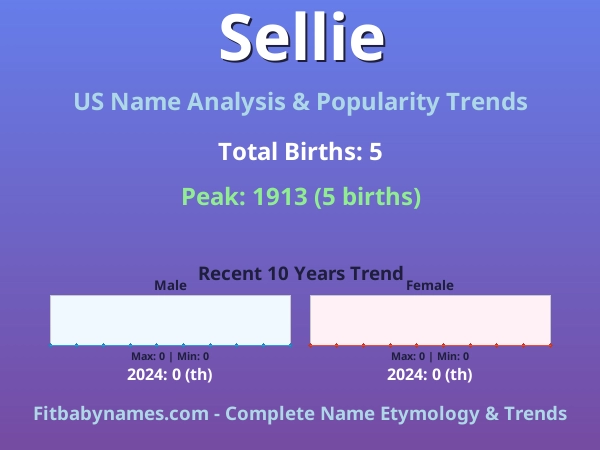 Infographic: Sellie name meaning, origin, and popularity trends in the United States (US baby name analysis chart)