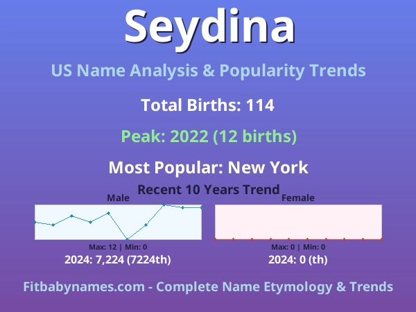 Infographic: Seydina name meaning, origin, and popularity trends in the United States (US baby name analysis chart)