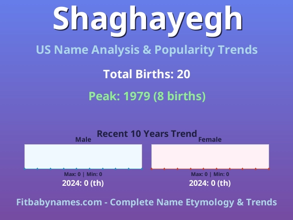 Infographic: Shaghayegh name meaning, origin, and popularity trends in the United States (US baby name analysis chart)