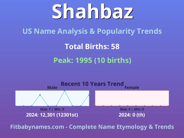 Infographic: Shahbaz name meaning, origin, and popularity trends in the United States (US baby name analysis chart)