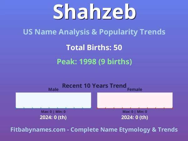 Infographic: Shahzeb name meaning, origin, and popularity trends in the United States (US baby name analysis chart)