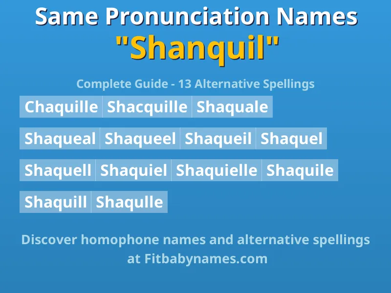 Infographic: Shanquil same pronunciation names, similar names, and homophone names