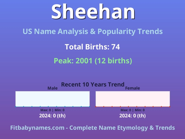 Infographic: Sheehan name meaning, origin, and popularity trends in the United States (US baby name analysis chart)
