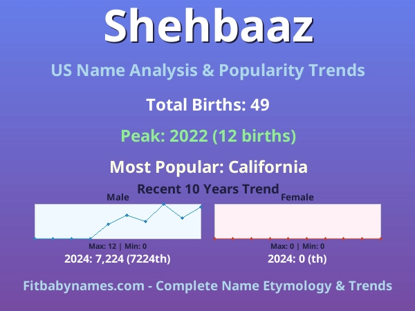 Infographic: Shehbaaz name meaning, origin, and popularity trends in the United States (US baby name analysis chart)