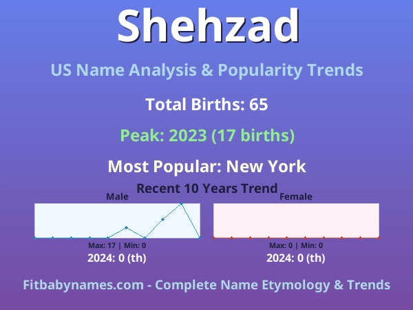 Infographic: Shehzad name meaning, origin, and popularity trends in the United States (US baby name analysis chart)