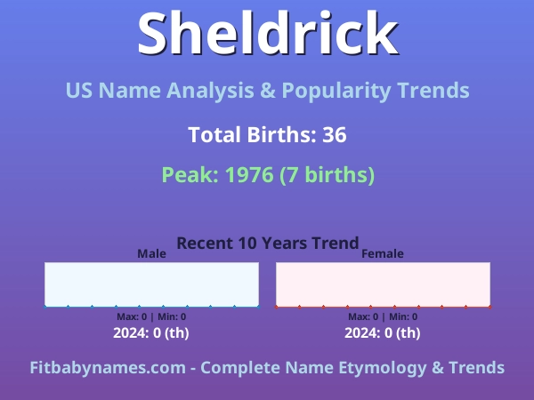 Infographic: Sheldrick name meaning, origin, and popularity trends in the United States (US baby name analysis chart)