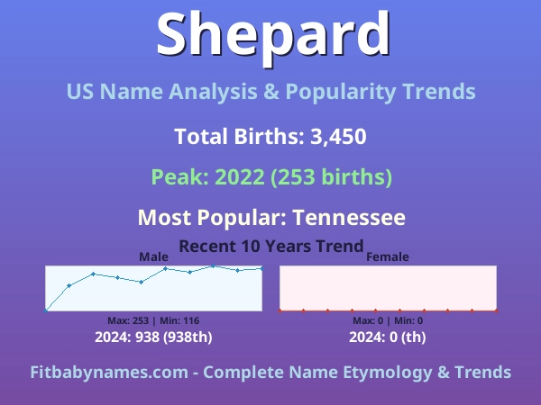 Infographic: Shepard name meaning, origin, and popularity trends in the United States (US baby name analysis chart)
