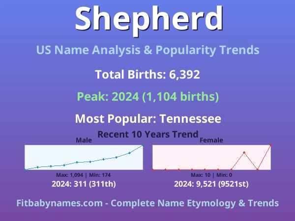 Infographic: Shepherd name meaning, origin, and popularity trends in the United States (US baby name analysis chart)