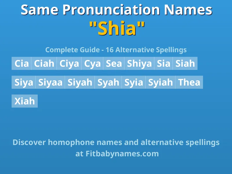 Infographic: Shia same pronunciation names, similar names, and homophone names