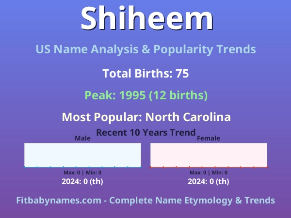 Infographic: Shiheem name meaning, origin, and popularity trends in the United States (US baby name analysis chart)