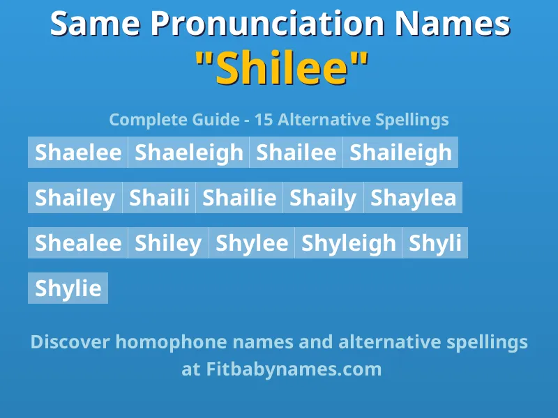Infographic: Shilee same pronunciation names, similar names, and homophone names