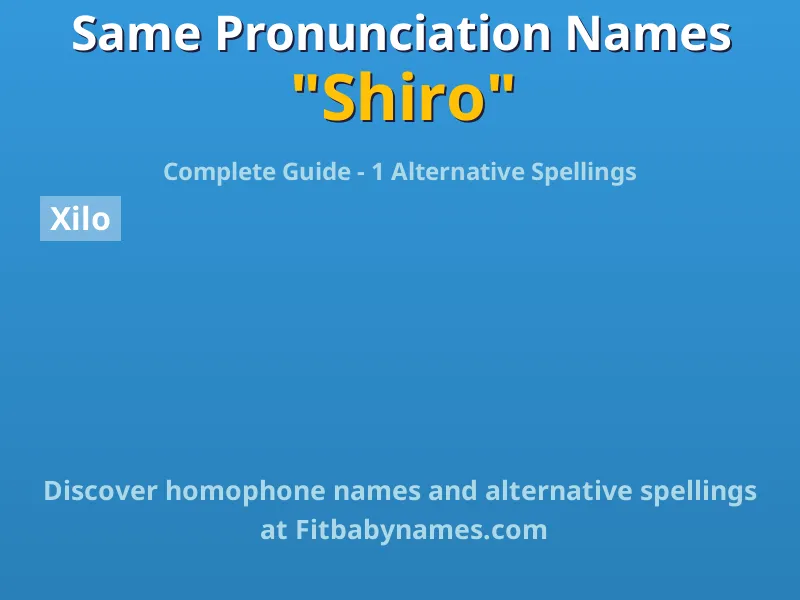 Infographic: Shiro same pronunciation names, similar names, and homophone names