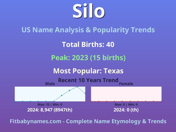 Infographic: Silo name meaning, origin, and popularity trends in the United States (US baby name analysis chart)