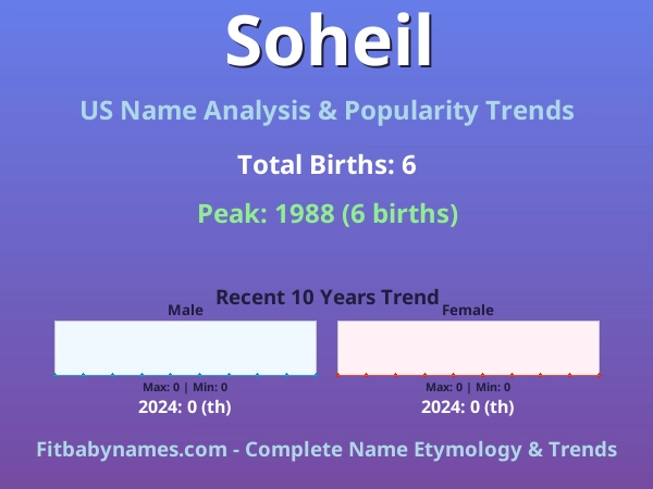 Infographic: Soheil name meaning, origin, and popularity trends in the United States (US baby name analysis chart)