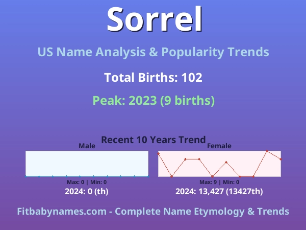Infographic: Sorrel name meaning, origin, and popularity trends in the United States (US baby name analysis chart)