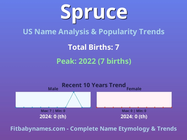 Infographic: Spruce name meaning, origin, and popularity trends in the United States (US baby name analysis chart)