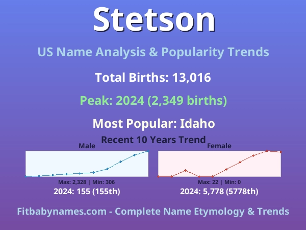 Infographic: Stetson name meaning, origin, and popularity trends in the United States (US baby name analysis chart)