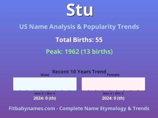 Infographic: Stu name meaning, origin, and popularity trends in the United States (US baby name analysis chart)