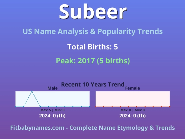Infographic: Subeer name meaning, origin, and popularity trends in the United States (US baby name analysis chart)