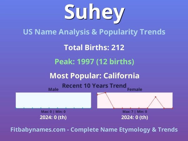 Infographic: Suhey name meaning, origin, and popularity trends in the United States (US baby name analysis chart)