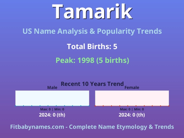 Infographic: Tamarik name meaning, origin, and popularity trends in the United States (US baby name analysis chart)