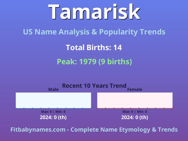 Infographic: Tamarisk name meaning, origin, and popularity trends in the United States (US baby name analysis chart)