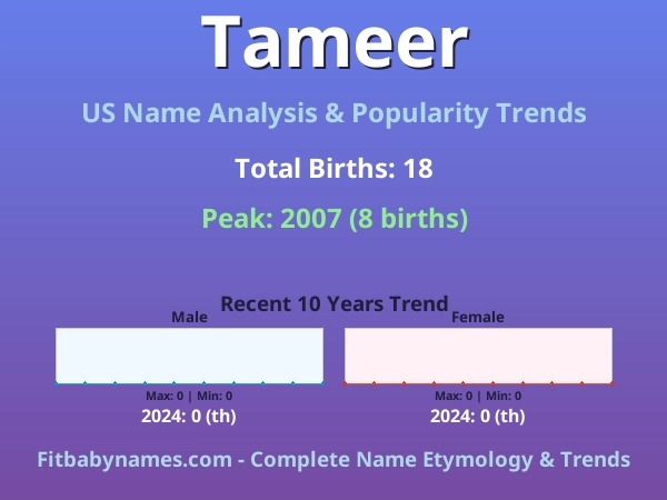 Infographic: Tameer name meaning, origin, and popularity trends in the United States (US baby name analysis chart)