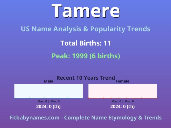 Infographic: Tamere name meaning, origin, and popularity trends in the United States (US baby name analysis chart)