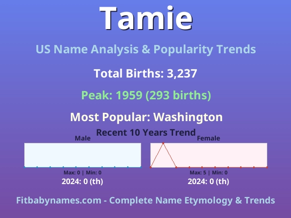 Infographic: Tamie name meaning, origin, and popularity trends in the United States (US baby name analysis chart)
