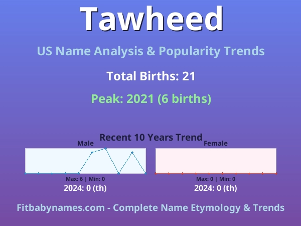 Infographic: Tawheed name meaning, origin, and popularity trends in the United States (US baby name analysis chart)