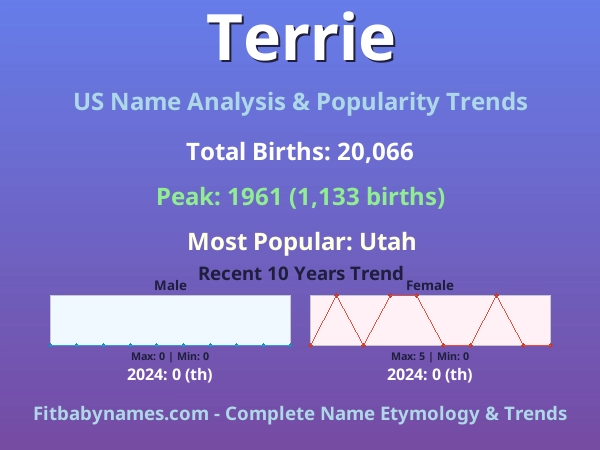 Infographic: Terrie name meaning, origin, and popularity trends in the United States (US baby name analysis chart)