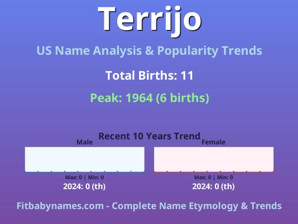 Infographic: Terrijo name meaning, origin, and popularity trends in the United States (US baby name analysis chart)