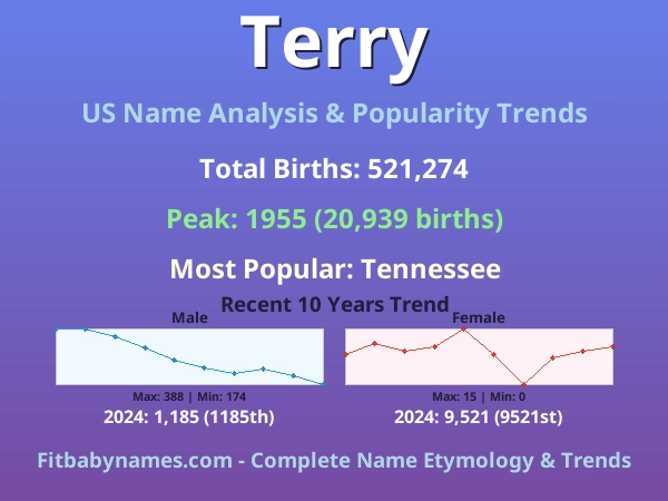 Infographic: Terry name meaning, origin, and popularity trends in the United States (US baby name analysis chart)