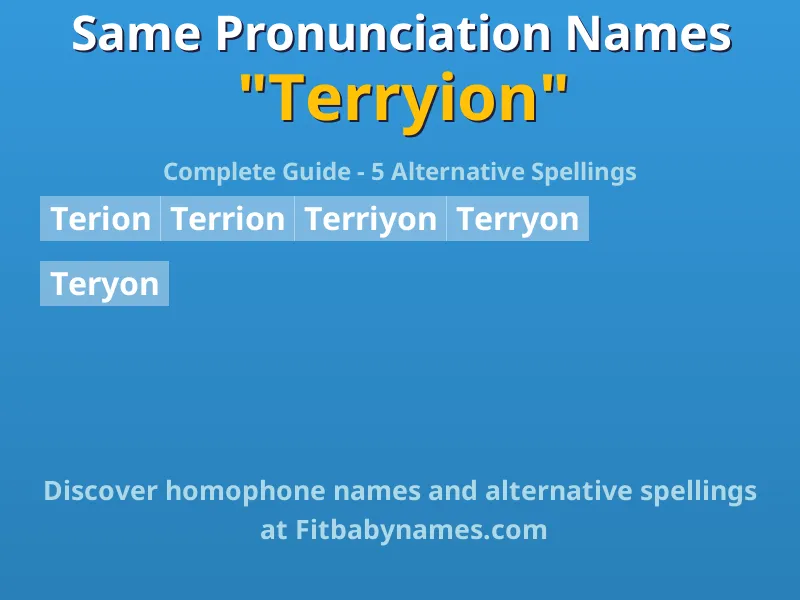 Infographic: Terryion same pronunciation names, similar names, and homophone names