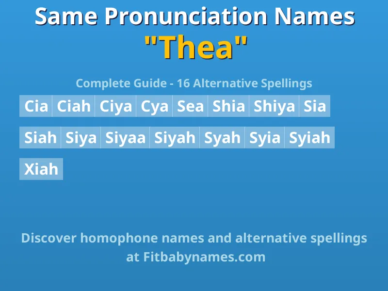 Infographic: Thea same pronunciation names, similar names, and homophone names
