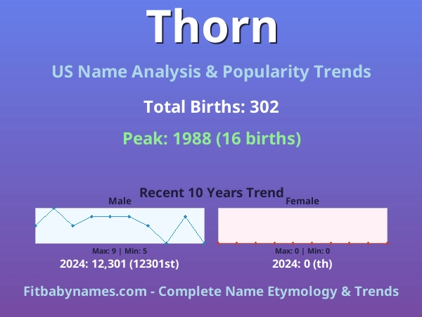 Infographic: Thorn name meaning, origin, and popularity trends in the United States (US baby name analysis chart)