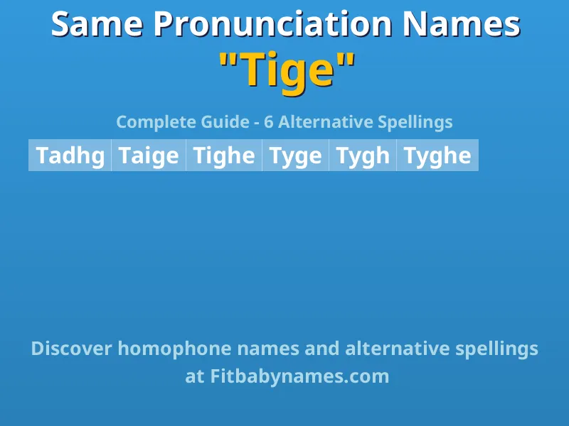 Infographic: Tige same pronunciation names, similar names, and homophone names
